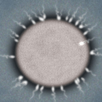 The Price of Infertility  