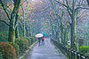 Grab an Umbrella, It's Time for April Showers!