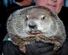 Groundhog Day 2008