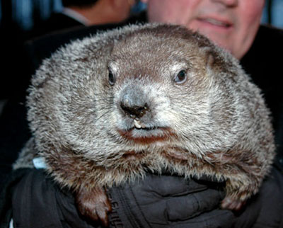 Groundhog Day 2008