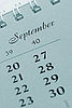 Ovulation Calculators Help Determine Baby Making Time
