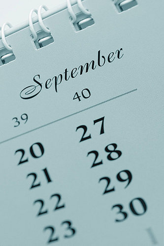 Ovulation Calculators Help Determine Baby Making Time