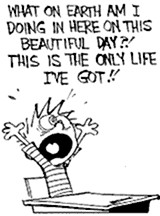Warm Weather, no more Midterms