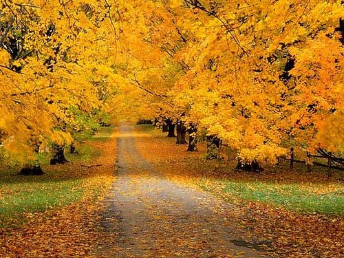 Pic of Nature