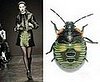 Trend de la Creme for Coutorture: Entymological