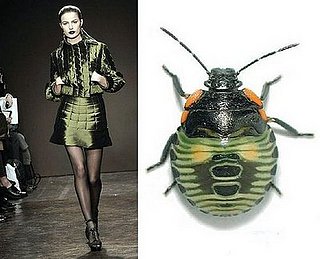 Trend de la Creme for Coutorture: Entymological