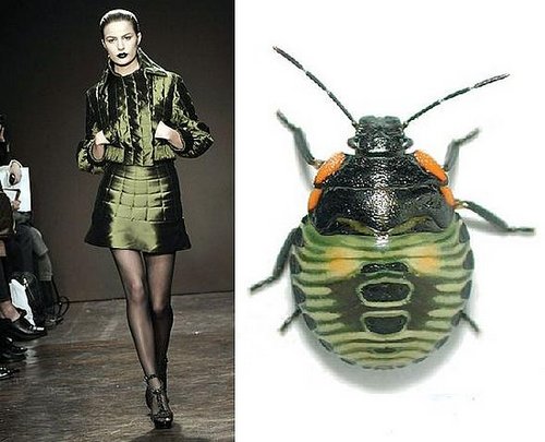Trend de la Creme for Coutorture: Entymological