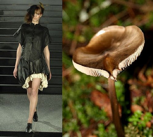 Trend de la Creme For Coutorture: Wild Growth Trend de la Creme For Coutorture: Wild Growth