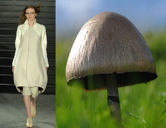 Trend de la Creme For Coutorture:  Wild Growth
