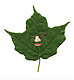 rosehildensturf's picture