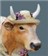 moocowsue moocowsue