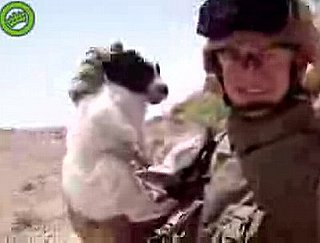 Should Media Play Video of Marine Throwing Puppy Off Cliff?