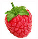 raspberry78