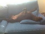 max on the couch