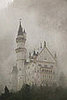 Science Behind the Rapunzel