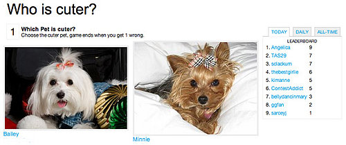 Time to Play: Which Pet Is Cuter?!