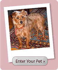 Enter the Spay Day 2008 Photo Contest! Enter the Spay Day 2008 Photo Contest!