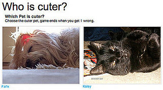 Play Our Which Pet Is Cuter? Game!