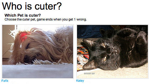 Play Our Which Pet Is Cuter? Game!