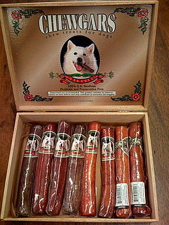 Chewgars: Perfect For New Pet Owners