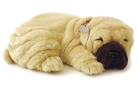 Perfect Petzzz: Shar Pei Perfect Petzzz: Shar Pei