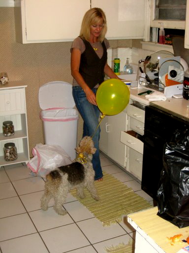 and in this one, we see buttercup with a balloon tied around her neck that she wore for about a half hour and in this one, we see buttercup with a balloon tied around her neck that she wore for about a half hour