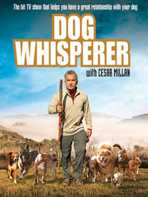 The Dog Whisperer