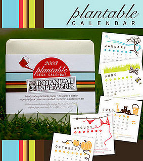 Cool Idea:  A Calendar You Can Plant