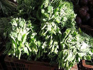 Name This Plant