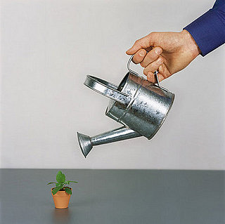 How-To: Keep Plants Alive Without Guesswork