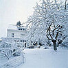Open House Recap:  Winter Worries