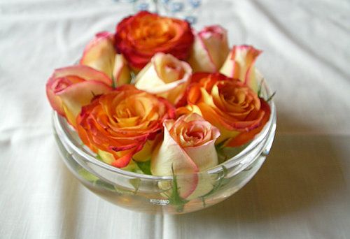 Casa Quickie: Easy and Elegant Roses