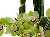 Would You Want This Bouquet For Valentine's Day?