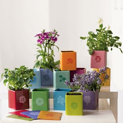 Love Shack: Year of Seeds