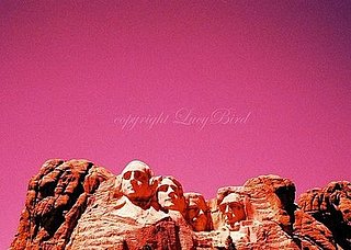 Etsy Find: Presidents in Pink