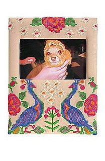 Love It or Hate It? Peacock Frame