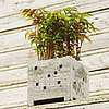 In the Garden:  A Highrise Planter