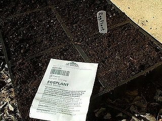 How-To: Planting Seeds