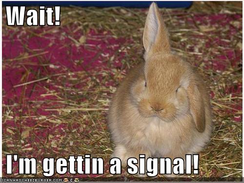 Bunny Funnies: i'm gettin a signal