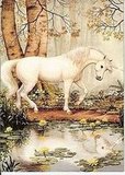 ~UNICORNS ARE REAL~ Rate this blank card!