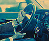 Dear Poll: Do You Experience Road Rage? 