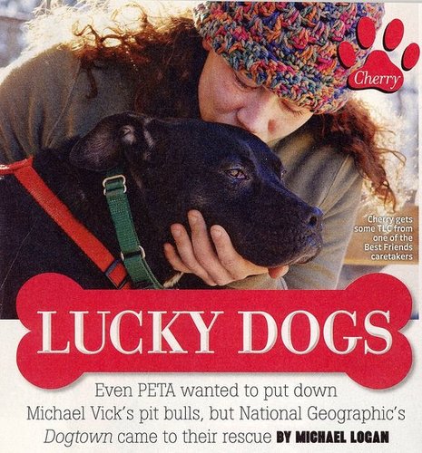 In light of Michael Vick's possible return to the NFL