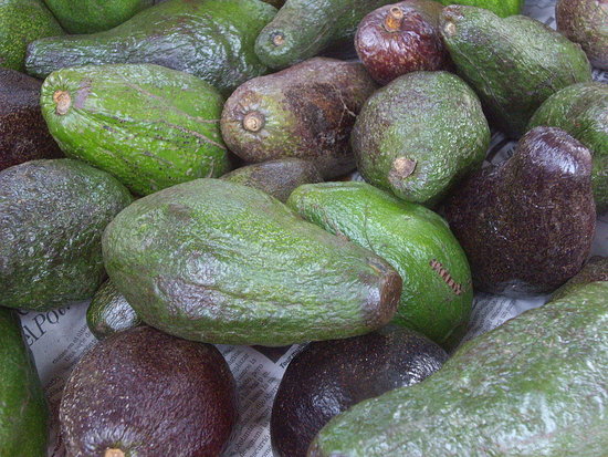 Avocados
