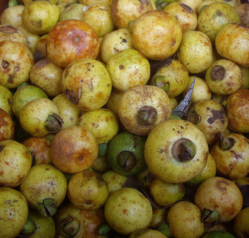 Cas Guava Cas Guava