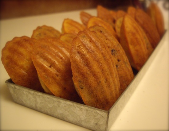This Thanksgiving Make a Savory Side of Madeleine This Thanksgiving Make a Savory Side of Madeleine