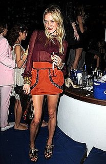 Chloe Sevigny in Louis Vuitton Spring '09: Love It or Hate It? 