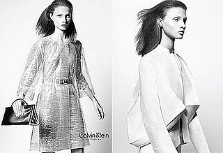 Calvin Klein Collection Spring 2009 Ad Campaign