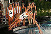 2009 Cruise: Chanel