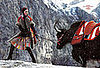 Fab Ad: Hermes Fall '08 