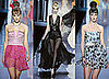 Paris Fashion Week, Spring 2009: Christian Dior 